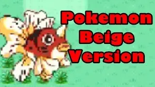 Pokemon Beige Version: Shaboomboom - Flash Freaks