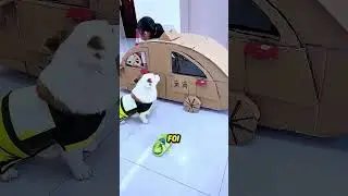 Poor Pitoco
