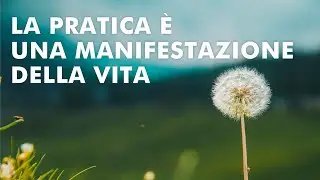 La pratica è una manifestazione della vita - Massimo Claus [da 