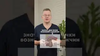 #онкология #онкоурология #андрологмосква #урологмосква #онкоурологмосква #лечениеракапочкимосква