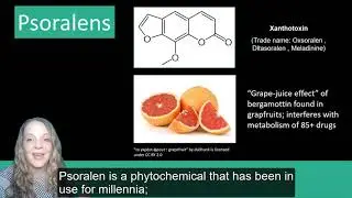 Plant Secondary Metabolites: Phenolics