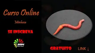 CURSO ONLINE GRATUITO: PRODUÇÃO DE UMA MINHOCA REALISTA COM BISCUIT