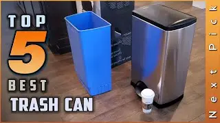 Top 5 Best Trash Cans Review in 2024