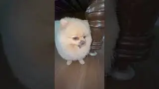 Я не Я опа не моя😄🫣