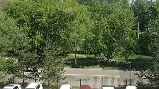 Дорогов Кателевский Стрим Из Суда 2 Попытка