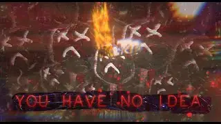 YOU HAVE NO IDEA - FLARE