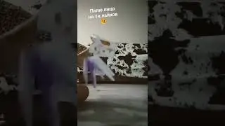 18 сентября 2022 г.
