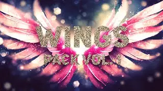WINGS PACK VOL 1 || VJ Loops Pack
