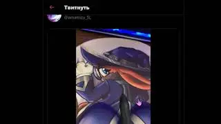 paladins = furry