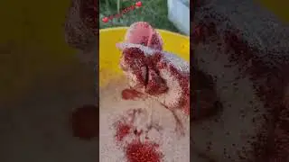 ASMR, GLITTER, ICE AND POWDERBOMBS ❤️