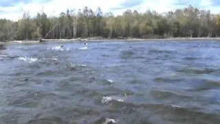 проходим перекат р. Дуки
