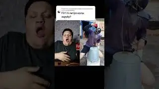 полторашка колы