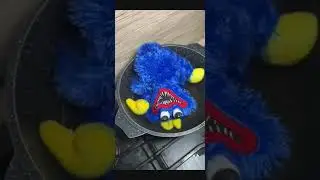 СВАРИЛИ ХАГИ ВАГИ! 