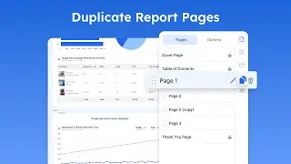 Duplicate Report Pages