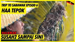 1ST TIME MAKAN UDANG BESAR NI | EPISOD 6 JELAJAH RUMAH PANJANG SARAWAK