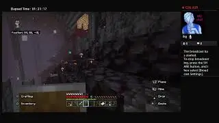 Minecraft Survival Series #1