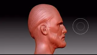 [СТРИМ] Носовая фигура рыцаря  в Zbrush #3