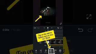 How to use rotate and mirror option in VN editor #tutorial #edit #vn
