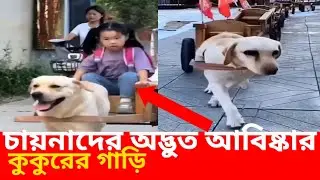 চায়নাদের অদ্ভুত আবিষ্কার কুকুরের গাড়ি||dog car made by China||