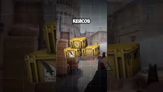 ЧТО МОЖНО КУПИТЬ НА СКИНЫ КС???