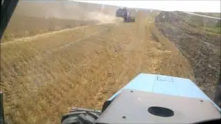 Уборка ячменя на палесье кзс-7!