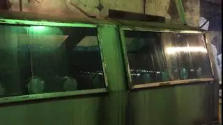 Дундага. Окрашивание шерсти
