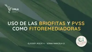 FITORREMEDIACIÓN BRIOFITAS Y PVSS