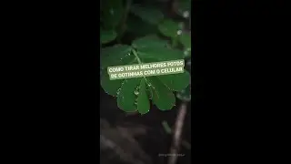 Como tirar melhores fotos de gotinhas