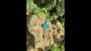вдохновение природой