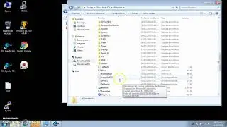 la forma correcta de usar (SVL Injector PC)