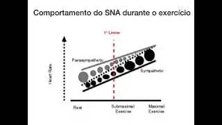 Comportamento da FC durant teste incremental