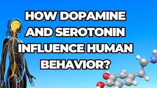 How Dopamine and Serotonin Influence Human Behavior?