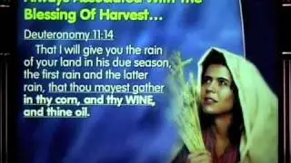 What The Bible Teaches About Alcohol #1
