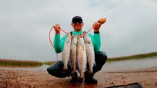 speckled trout fishing : the one that got away