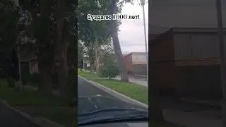 Суздалю 1000 лет! #shorts #золотоекольцороссии #фестиваль