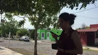Más clases de foto