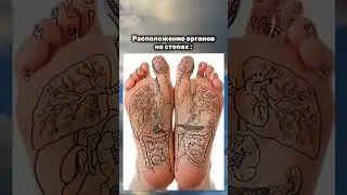 Сохраняй, чтобы не потерять #подсказкивселенной #психосоматика #здоровоетело