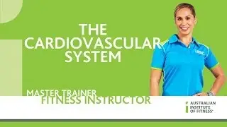 The Cardiovascular System