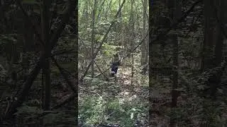Зсл.4 мес. 