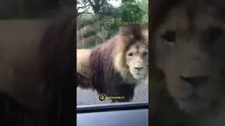 Мужчина.Мотивация