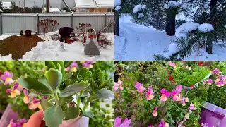 Local accident/ Everything is not like other people/ Seedlings are growing 🌱🌱🌱