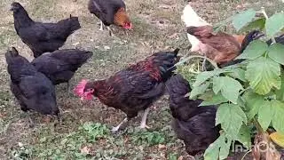 Кучинская Юбилейная и кое-что другое😅