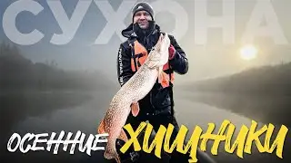ЖДАЛ ЕГО ВСЕ ЛЕТО. Новый  РЕКОРД ПО СУДАКУ. Рыбалка в октябре.