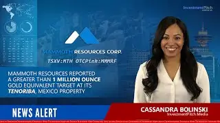 Mammoth Resources reported a greater than 1 million oz Au Eq target at Tenoriba, Mexico property