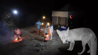 KURUMUŞ GÖLDE FOTOKAPANIMIZA TİLKİ TAKILDI (EKŞİLİ GÖLETİ)