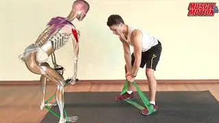 Bent Over High Row with a Resistance Band