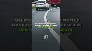 “Мы можем судить о сердце человека по его отношению к животным” Иммануил Кант. 💔 