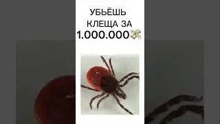 КЛЕЩА ЭТО НЕ ПРОСТО!!! #актив #рек #топ #хочуврек