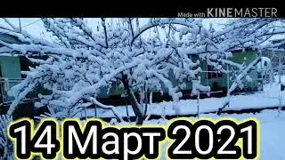 ТОЖИКИСТОН Барф Снег  Большой 14 марта 2021 г.