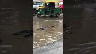 Puneet superstar bhai mil gaya